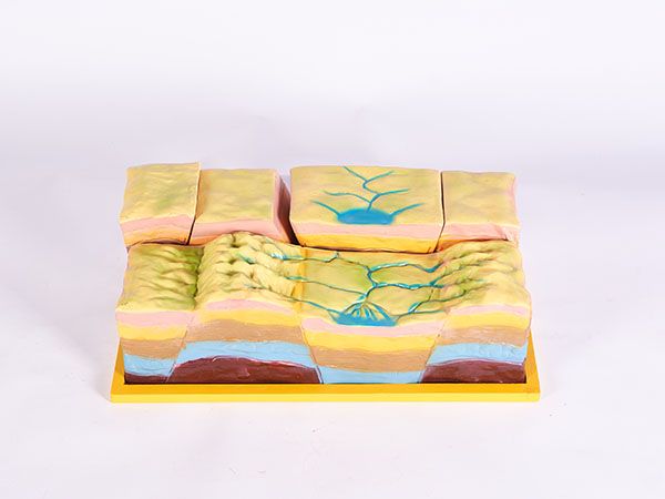 地層結(jié)構(gòu)斷裂模型
